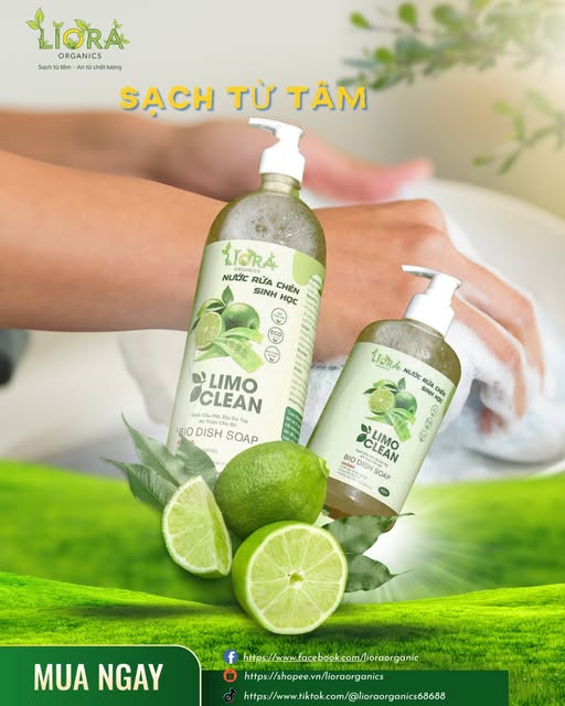 Limo Clean 100ml
